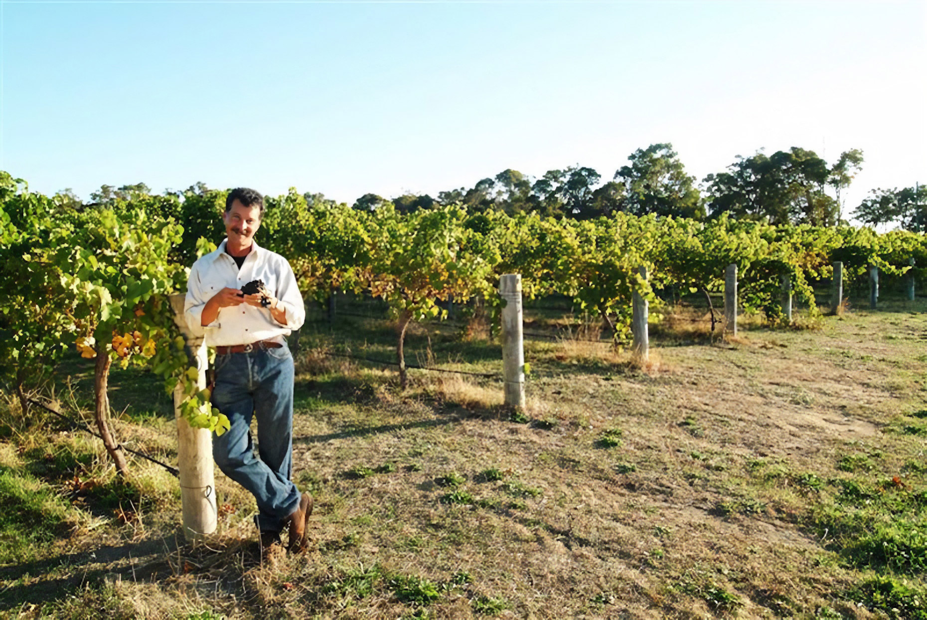 Rob Karri-Davies in Cape Grace vineyard