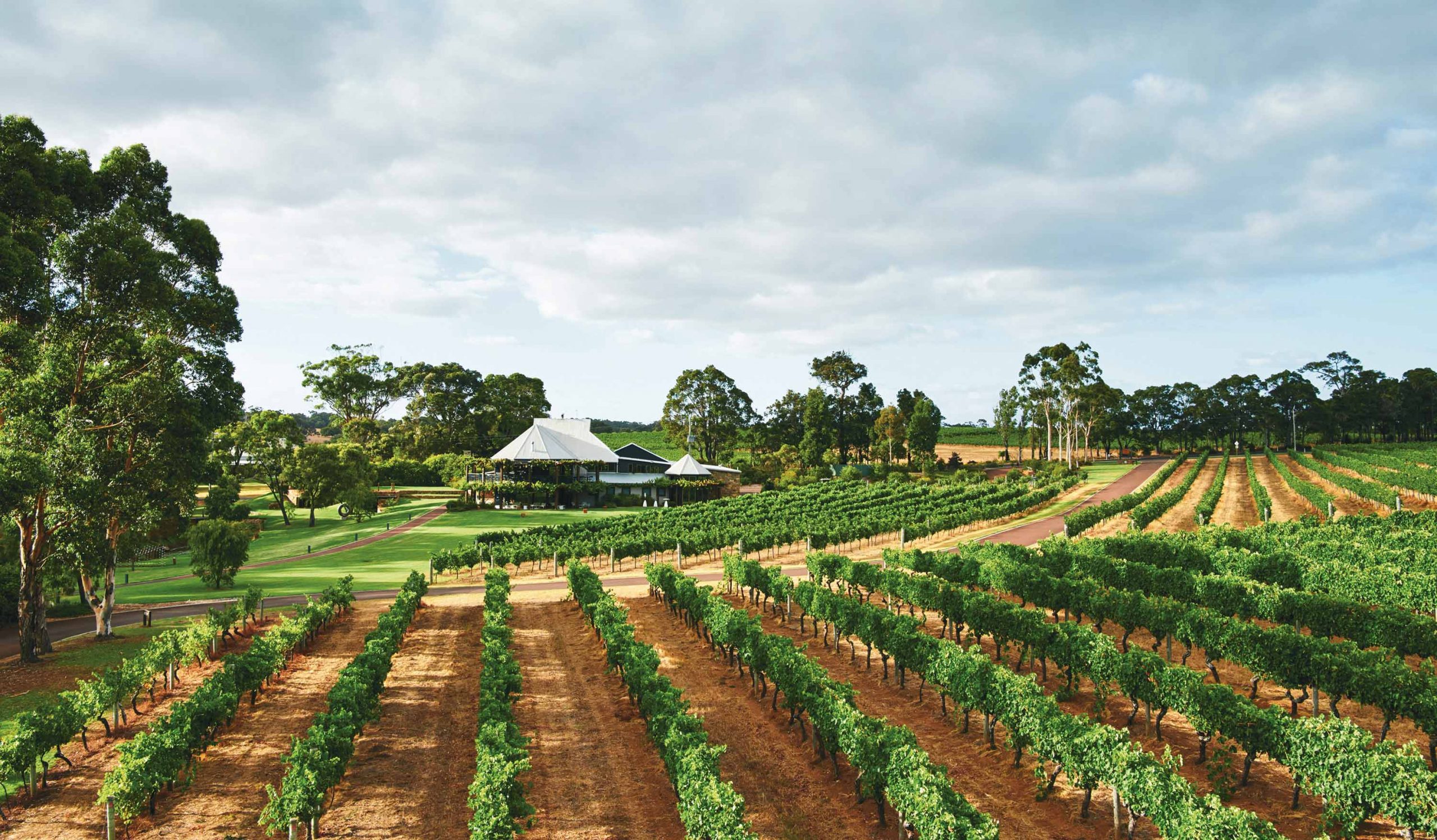 Vasse Felix Winery